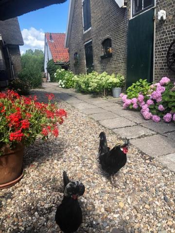 B&B De Beijersche Stee, Logies Aan De Waterkant Stolwijk Eksteriør billede
