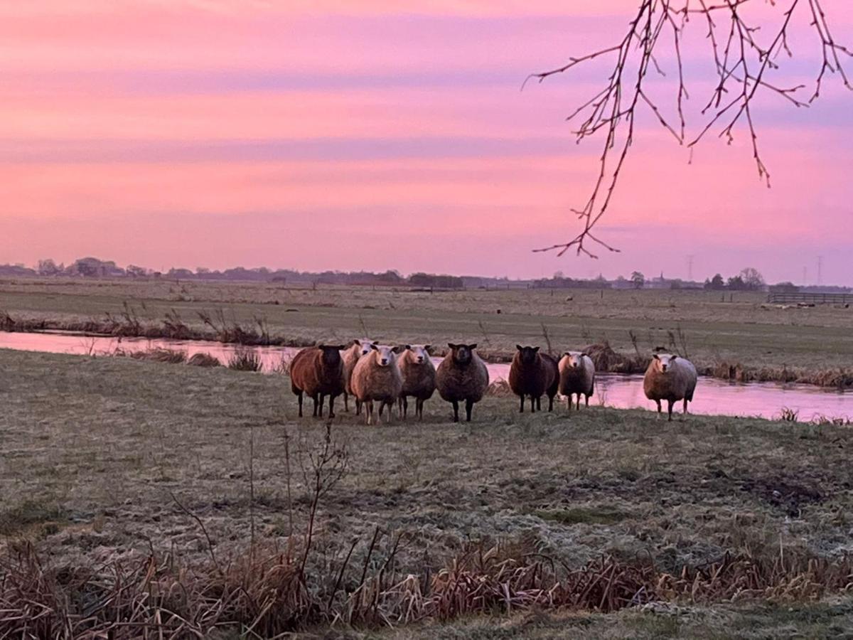 B&B De Beijersche Stee, Logies Aan De Waterkant Stolwijk Eksteriør billede